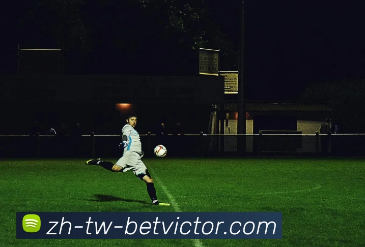 必威体育官网平台生态图